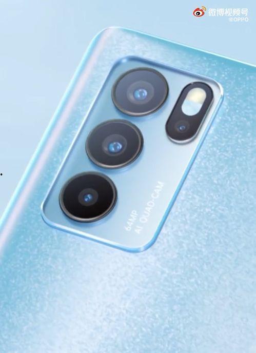 金山夜话爆料最新视频下载,独家爆料内容抢先看  第1张